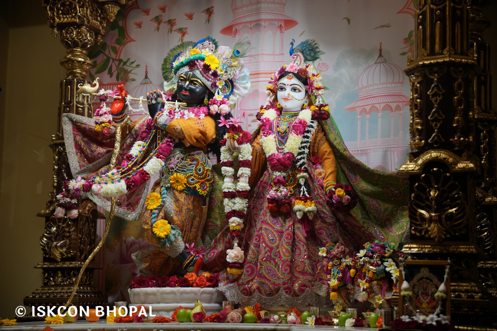 WhatsApp Image 2026-01-11 at 8.28.49 AM