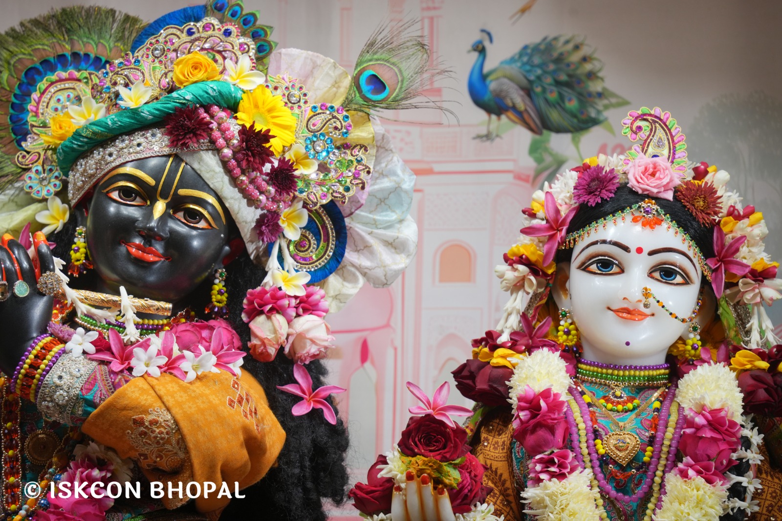 WhatsApp Image 2026-01-11 at 8.28.50 AM (2)