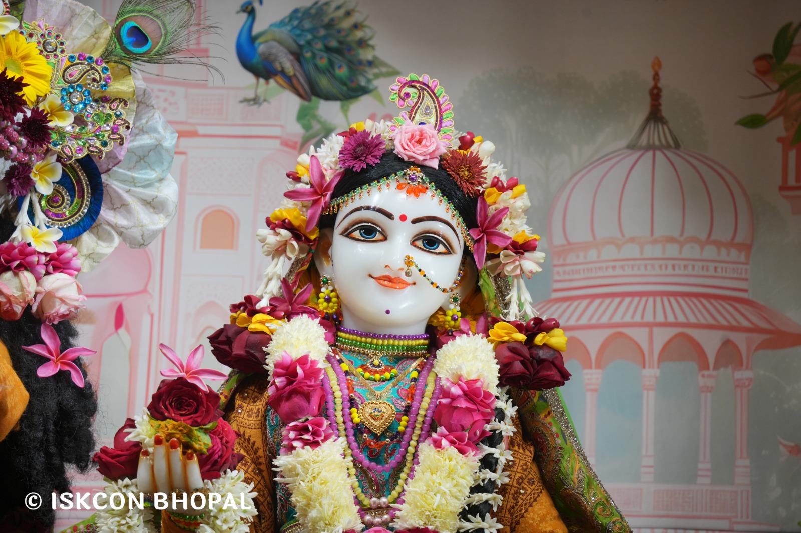 WhatsApp Image 2026-01-11 at 8.28.50 AM