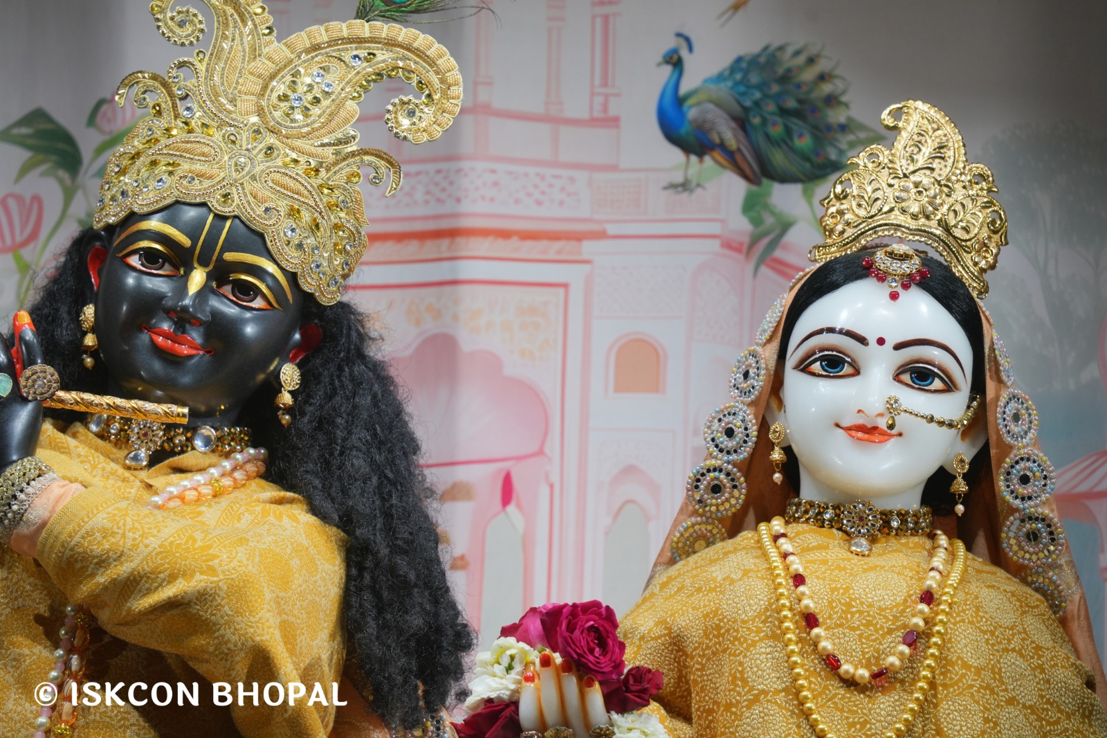 WhatsApp Image 2026-01-12 at 6.26.03 AM (1)