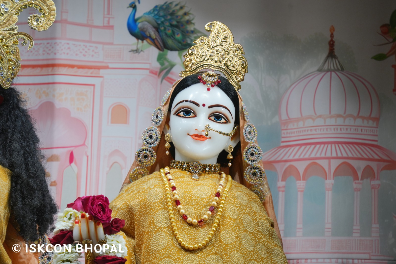 WhatsApp Image 2026-01-12 at 6.26.03 AM (2)