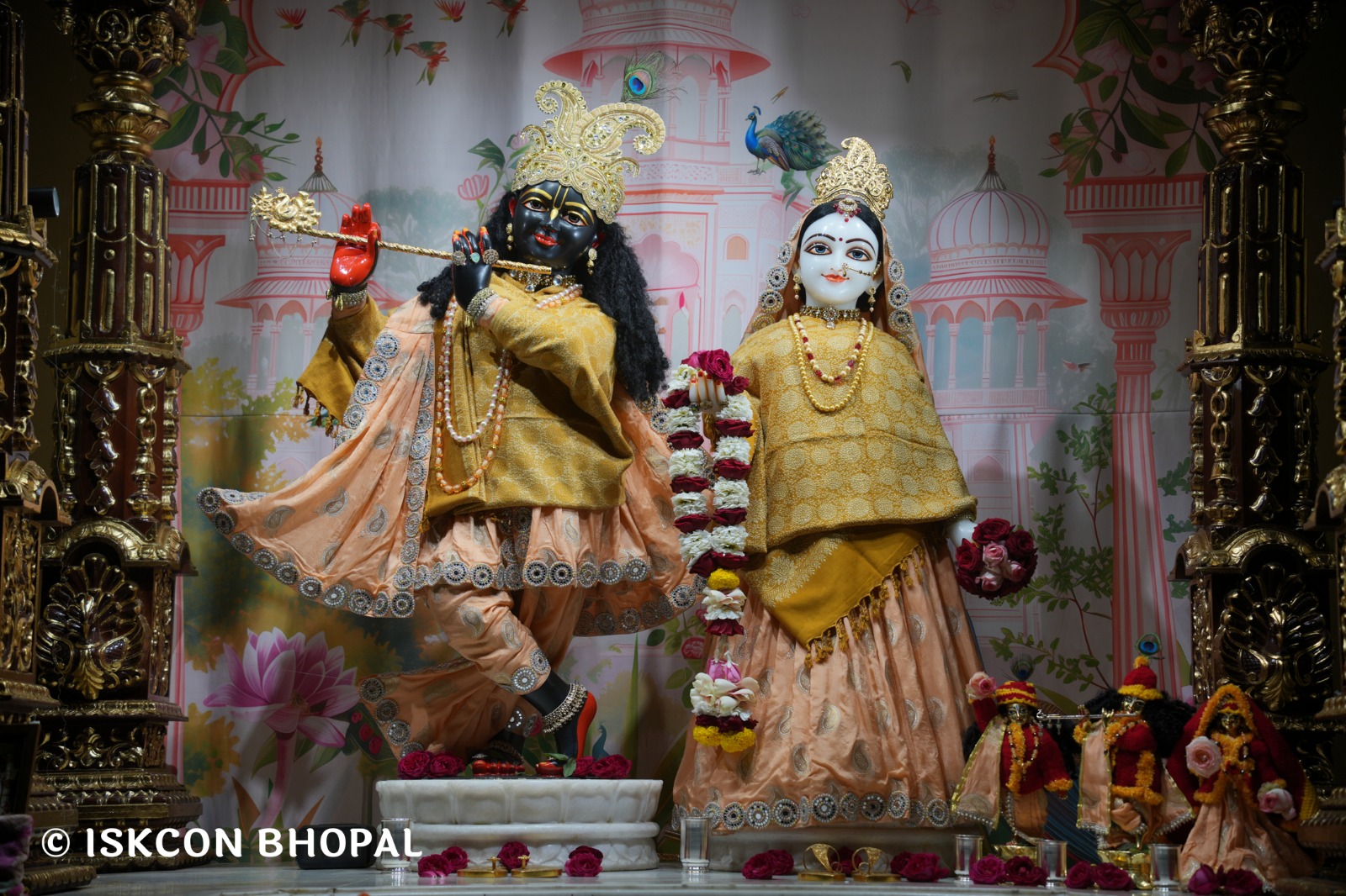 WhatsApp Image 2026-01-12 at 6.26.04 AM