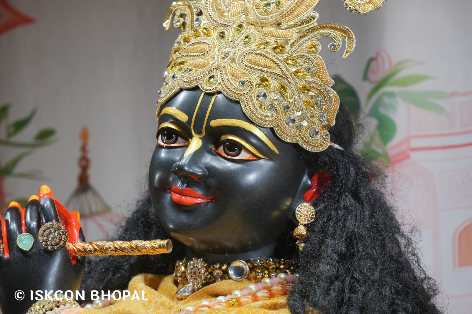 WhatsApp Image 2026-01-12 at 6.26.05 AM (1)