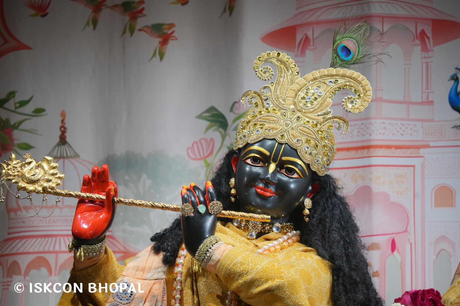 WhatsApp Image 2026-01-12 at 6.26.05 AM (3)