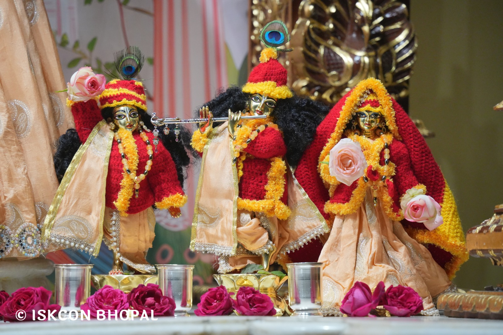 WhatsApp Image 2026-01-12 at 6.26.05 AM