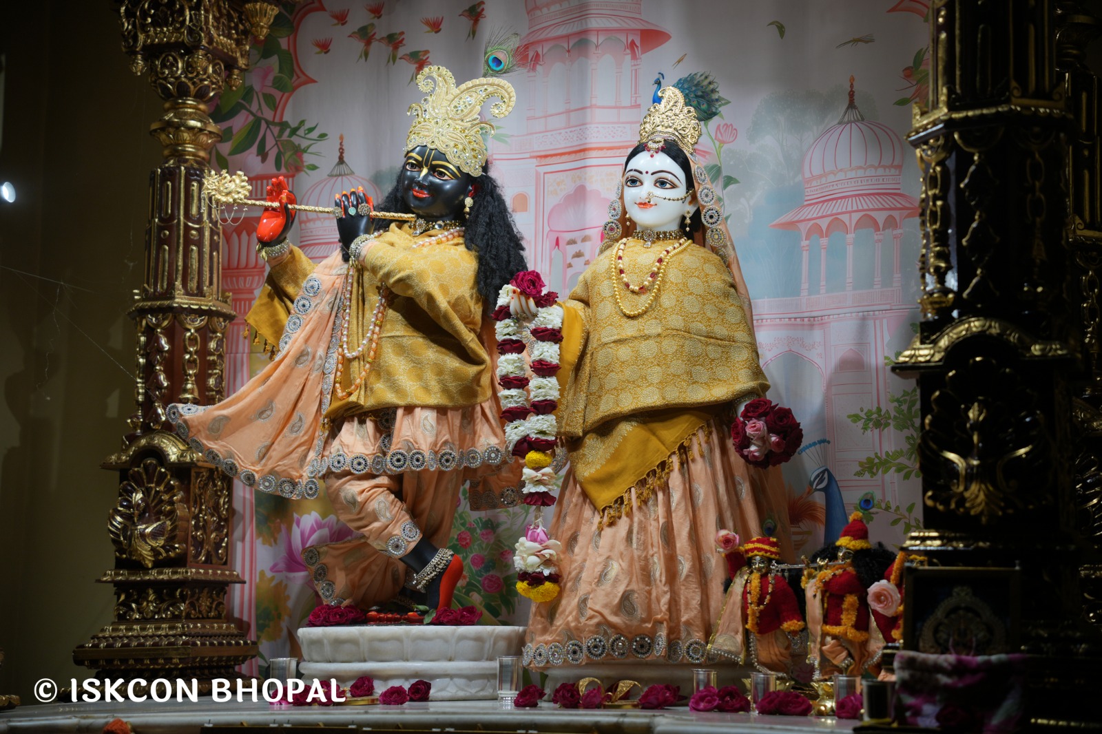 WhatsApp Image 2026-01-12 at 6.26.06 AM (1)