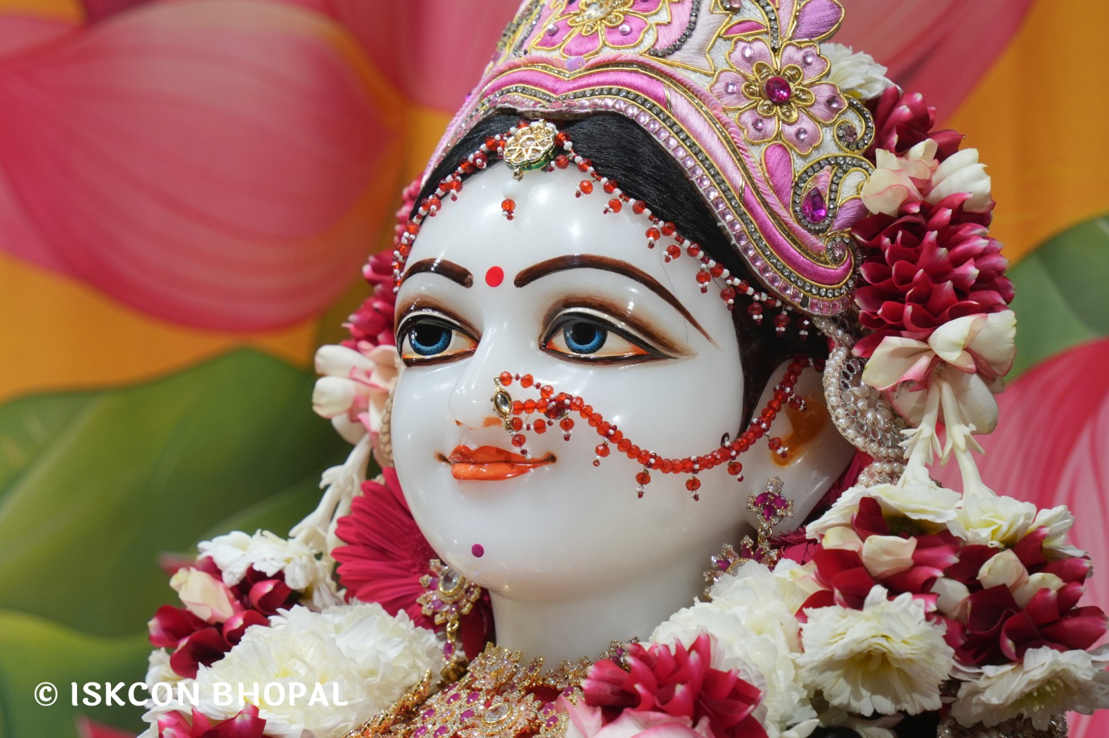 WhatsApp Image 2026-01-12 at 7.49.36 AM (1)