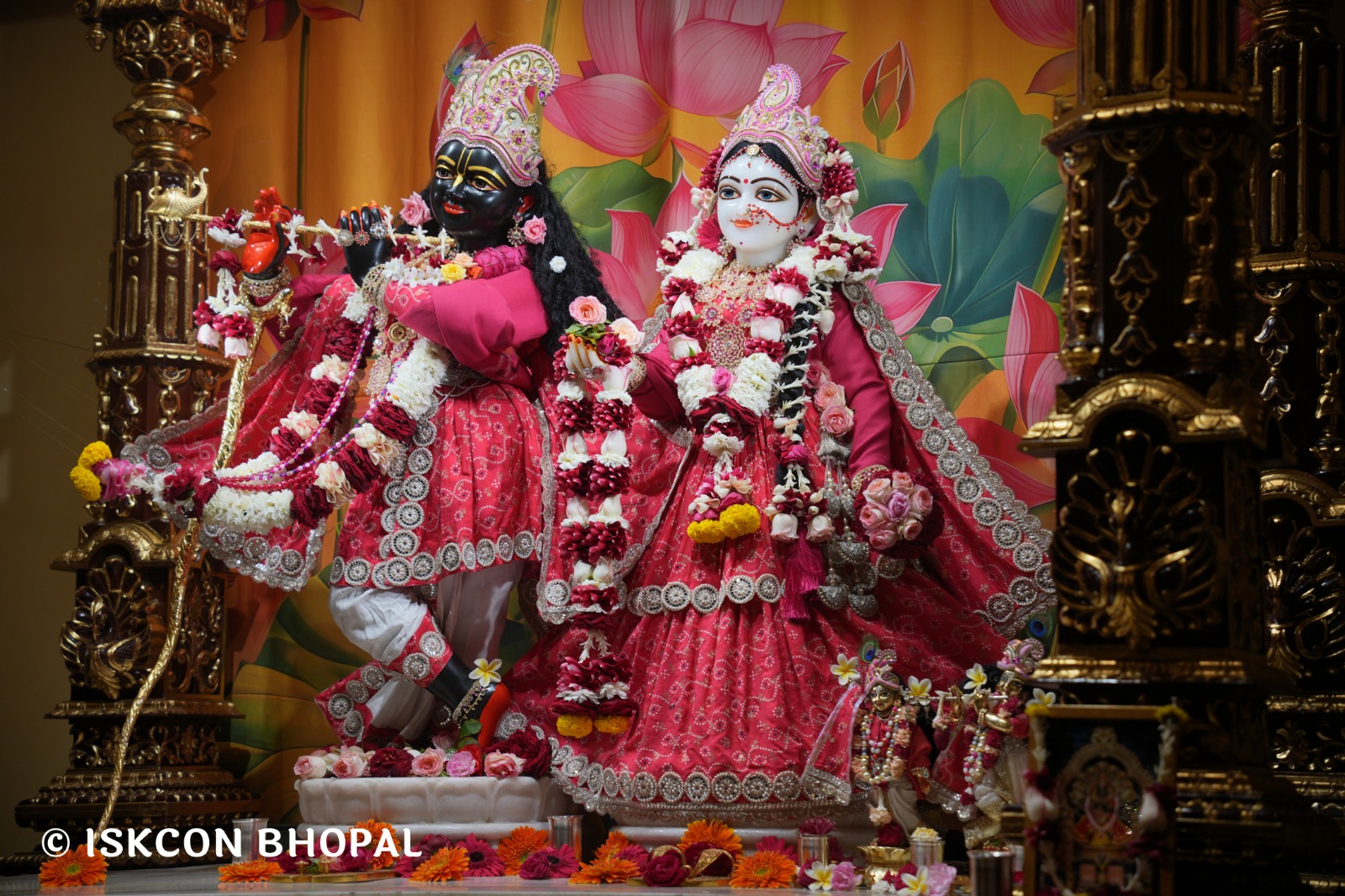 WhatsApp Image 2026-01-12 at 7.49.36 AM (4)