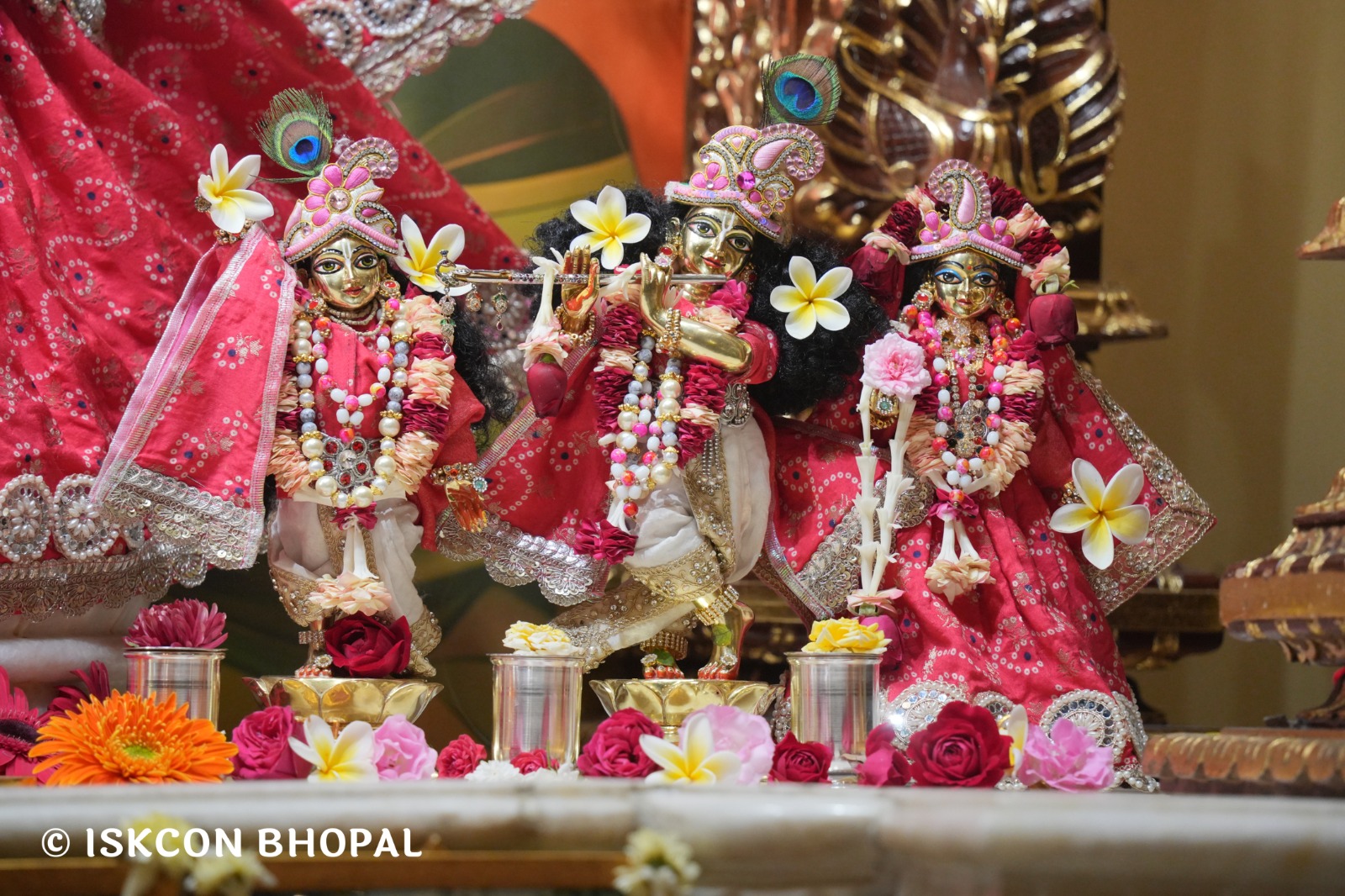 WhatsApp Image 2026-01-12 at 7.49.36 AM (5)