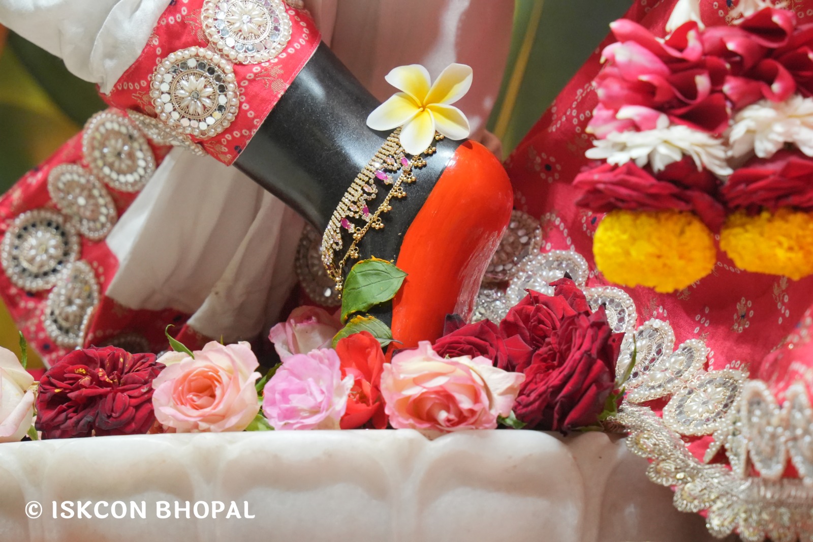 WhatsApp Image 2026-01-12 at 7.49.36 AM