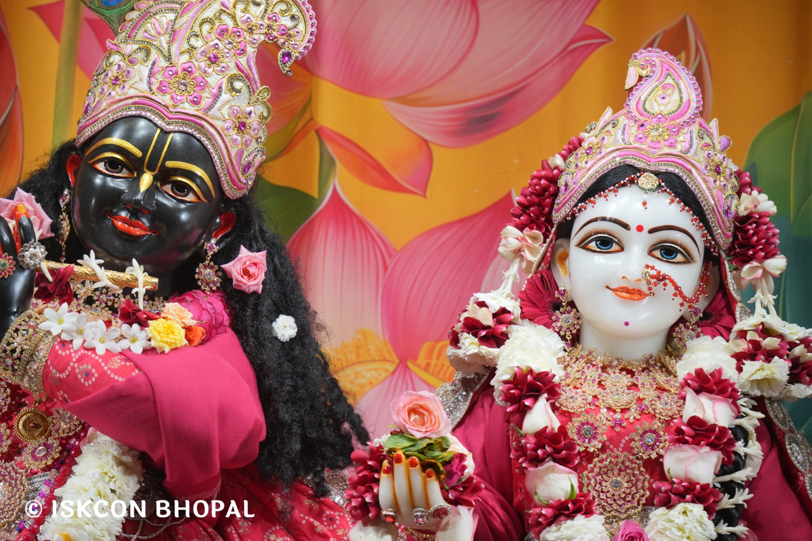 WhatsApp Image 2026-01-12 at 7.49.37 AM (1)