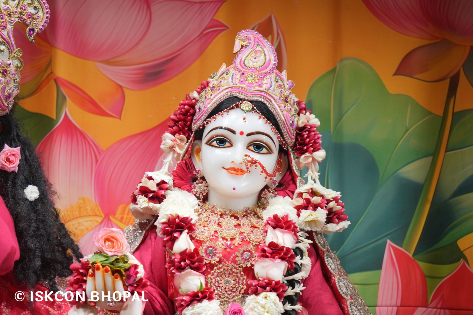 WhatsApp Image 2026-01-12 at 7.49.37 AM