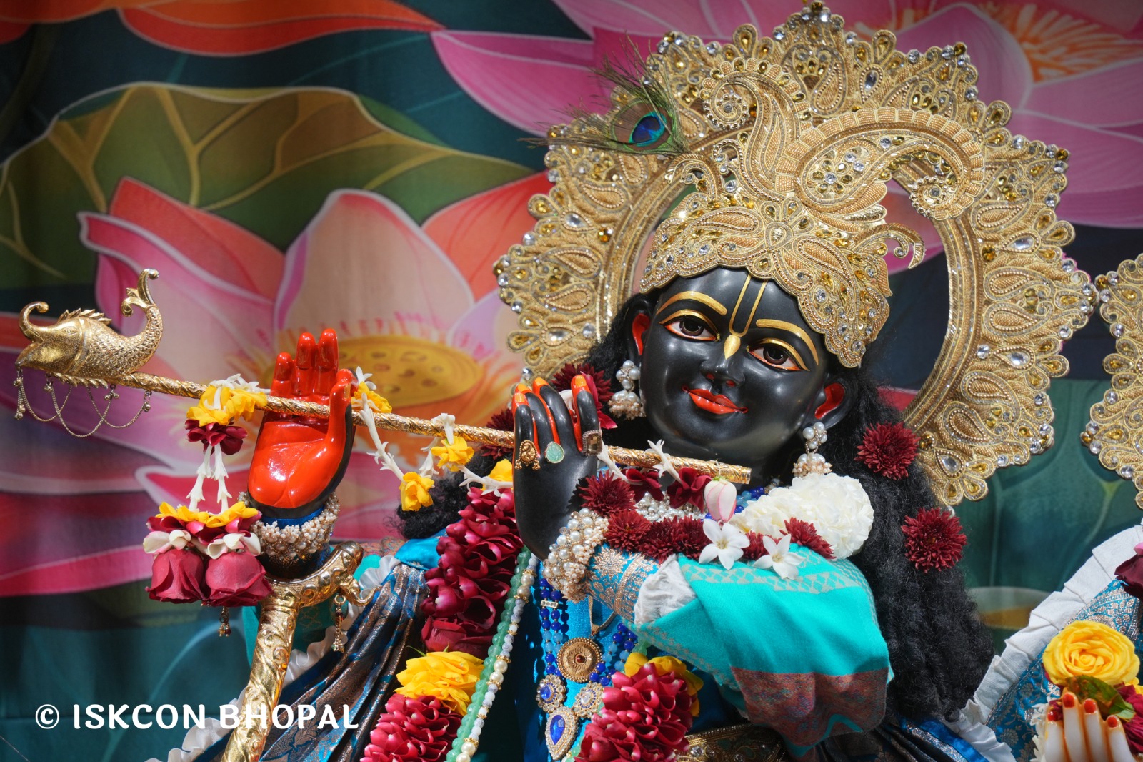 WhatsApp Image 2026-01-13 at 11.43.52 AM (1)