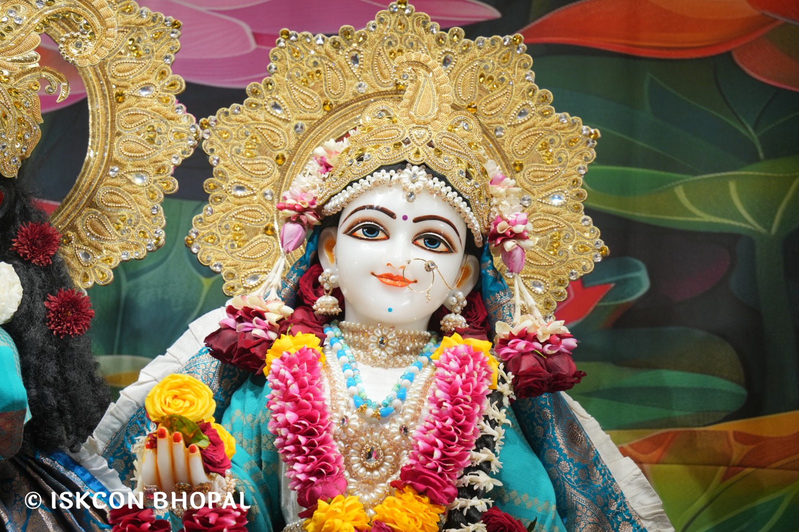 WhatsApp Image 2026-01-13 at 11.43.52 AM (3)