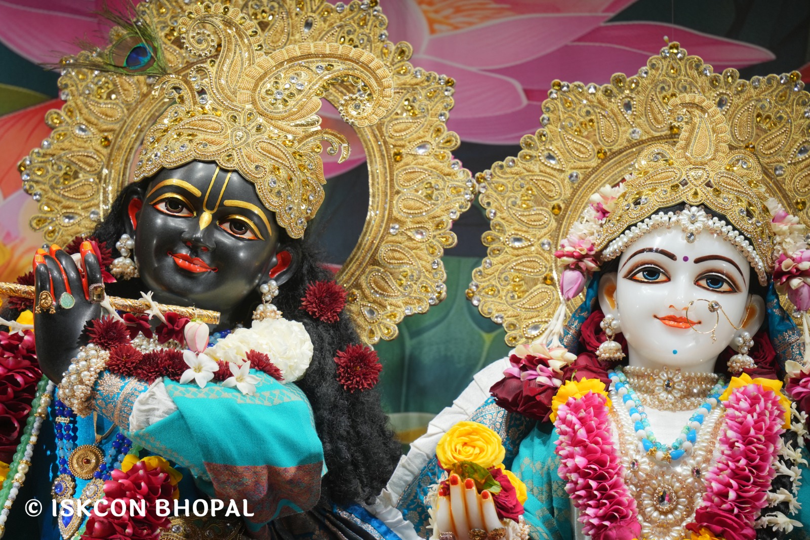 WhatsApp Image 2026-01-13 at 11.43.52 AM (4)