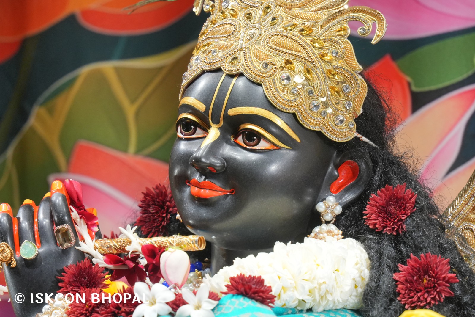 WhatsApp Image 2026-01-13 at 11.43.53 AM (1)