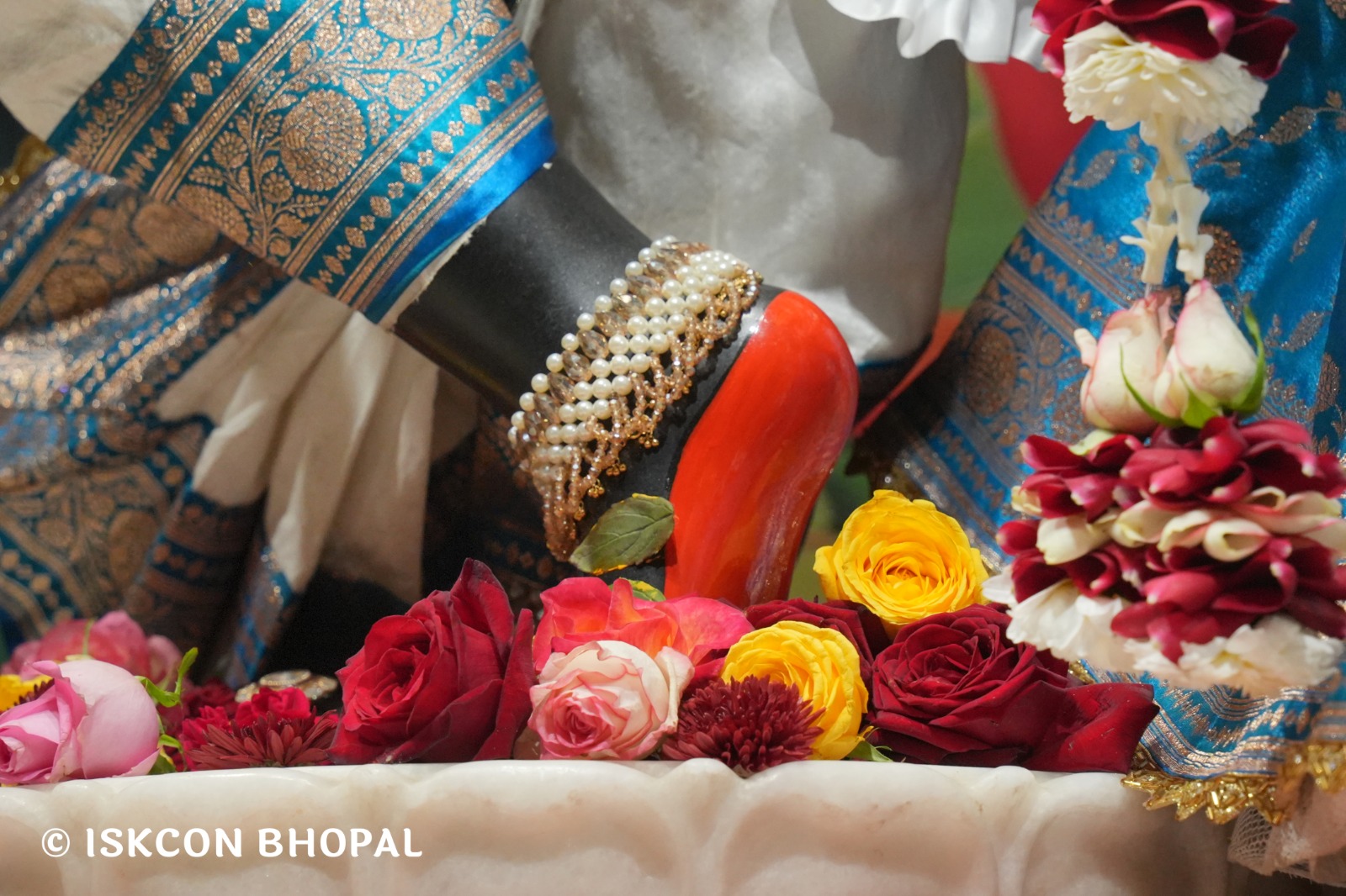 WhatsApp Image 2026-01-13 at 11.43.53 AM (2)