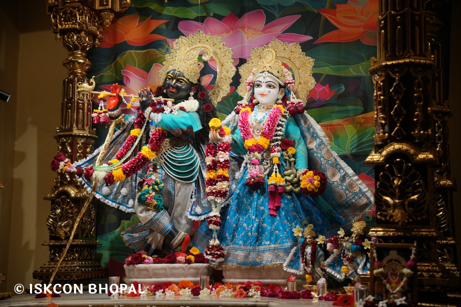 WhatsApp Image 2026-01-13 at 11.43.53 AM (3)