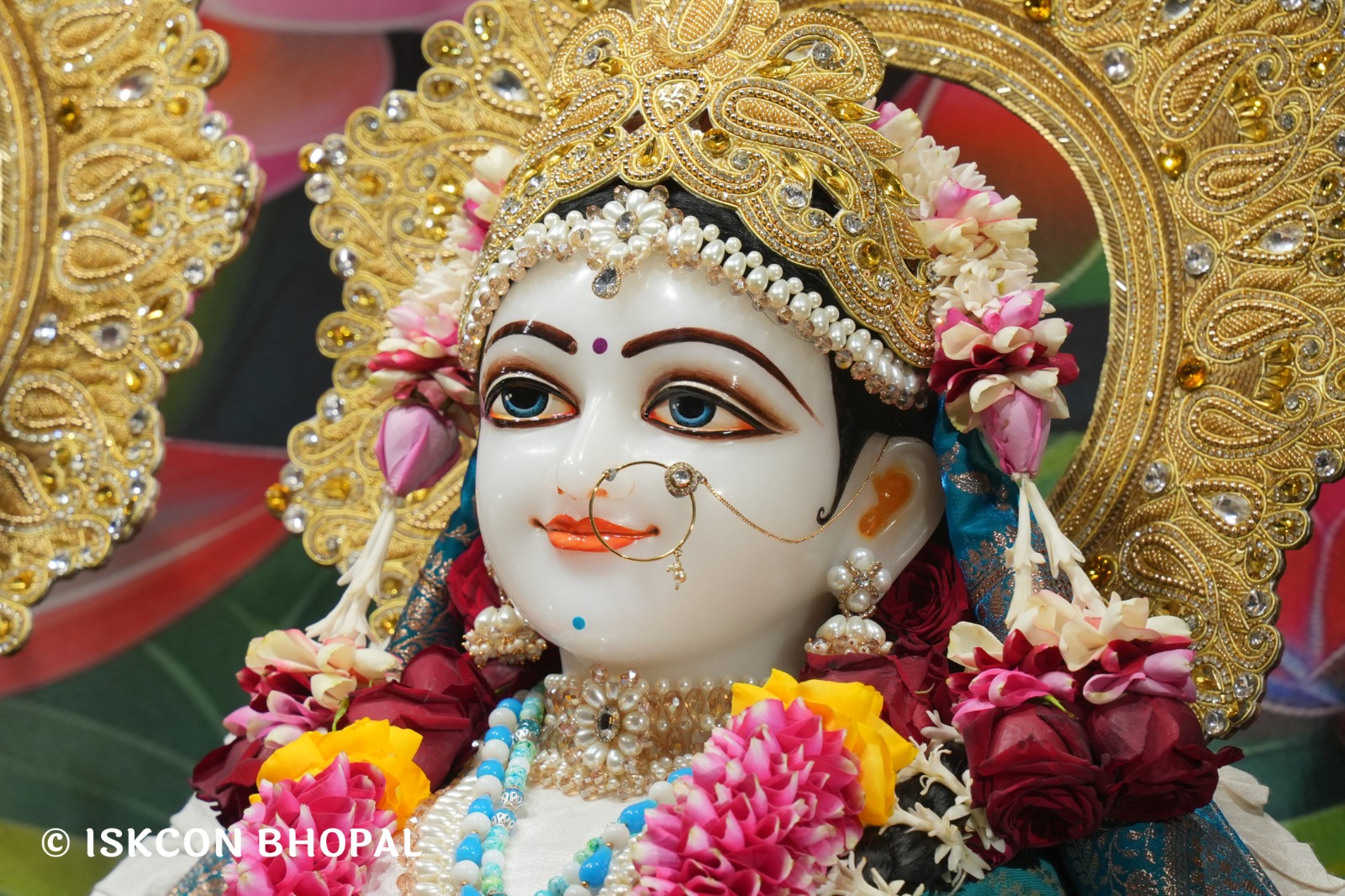 WhatsApp Image 2026-01-13 at 11.43.55 AM