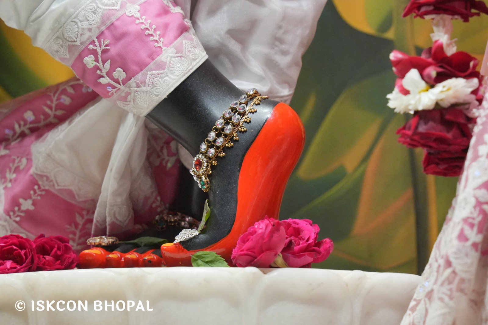 WhatsApp Image 2026-01-13 at 6.24.51 AM