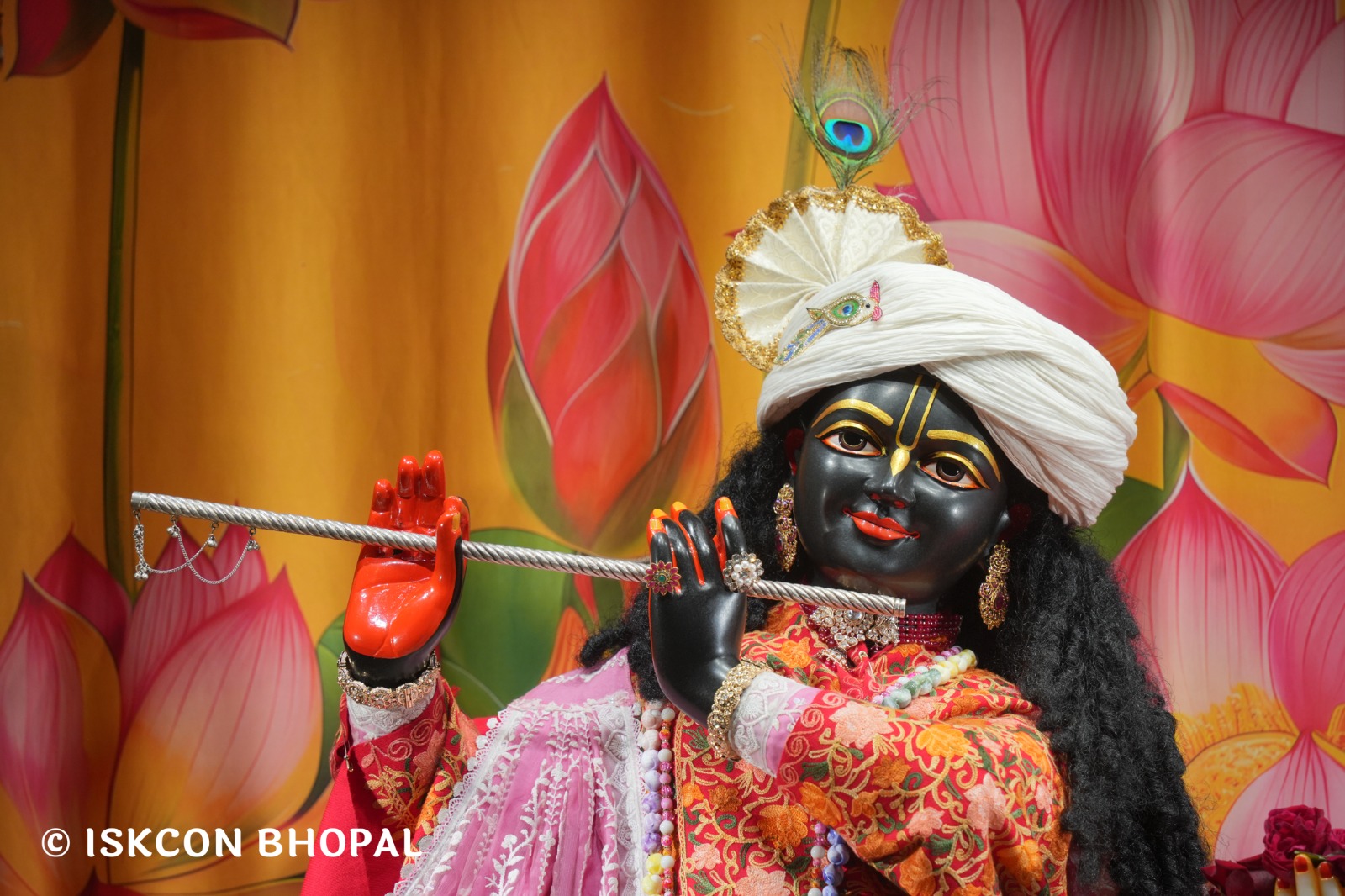 WhatsApp Image 2026-01-13 at 6.24.52 AM (1)