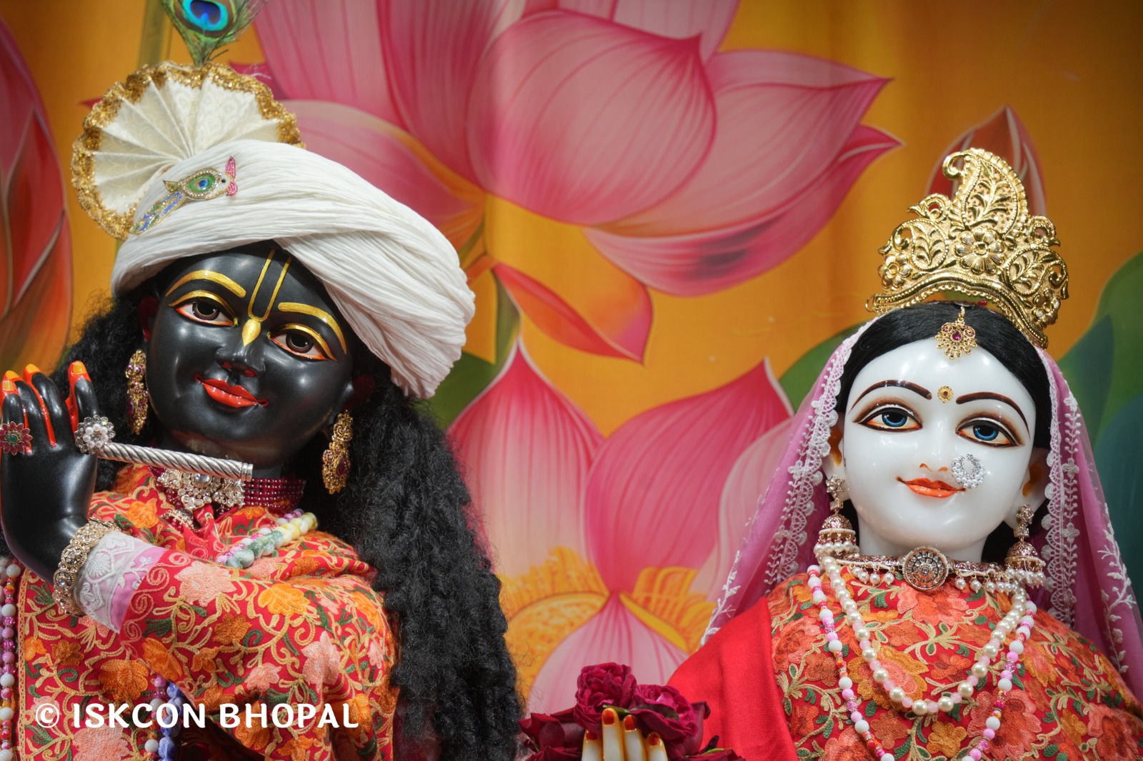 WhatsApp Image 2026-01-13 at 6.24.52 AM