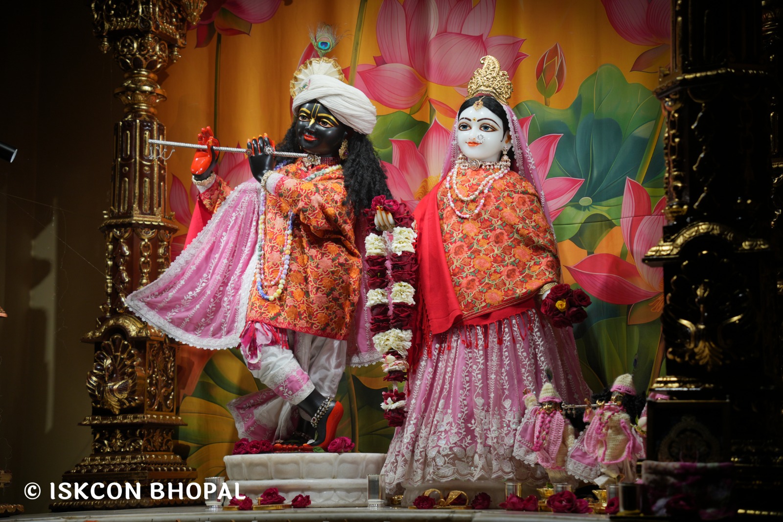 WhatsApp Image 2026-01-13 at 6.24.53 AM (1)