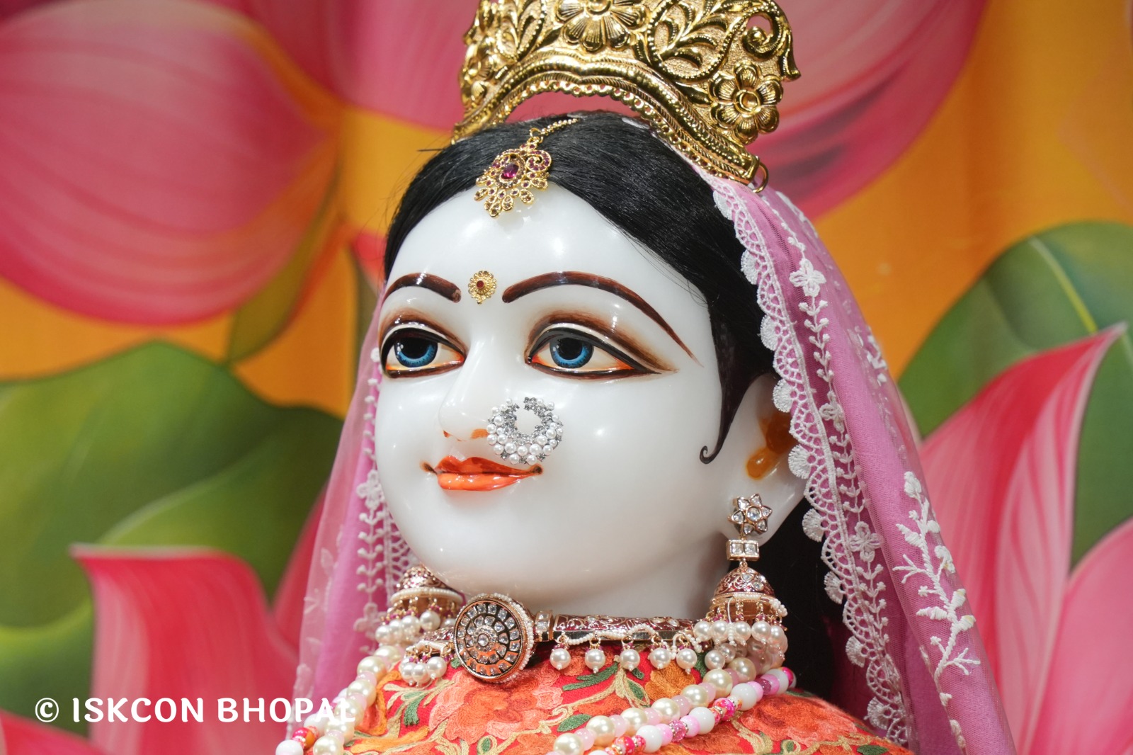 WhatsApp Image 2026-01-13 at 6.24.53 AM (2)