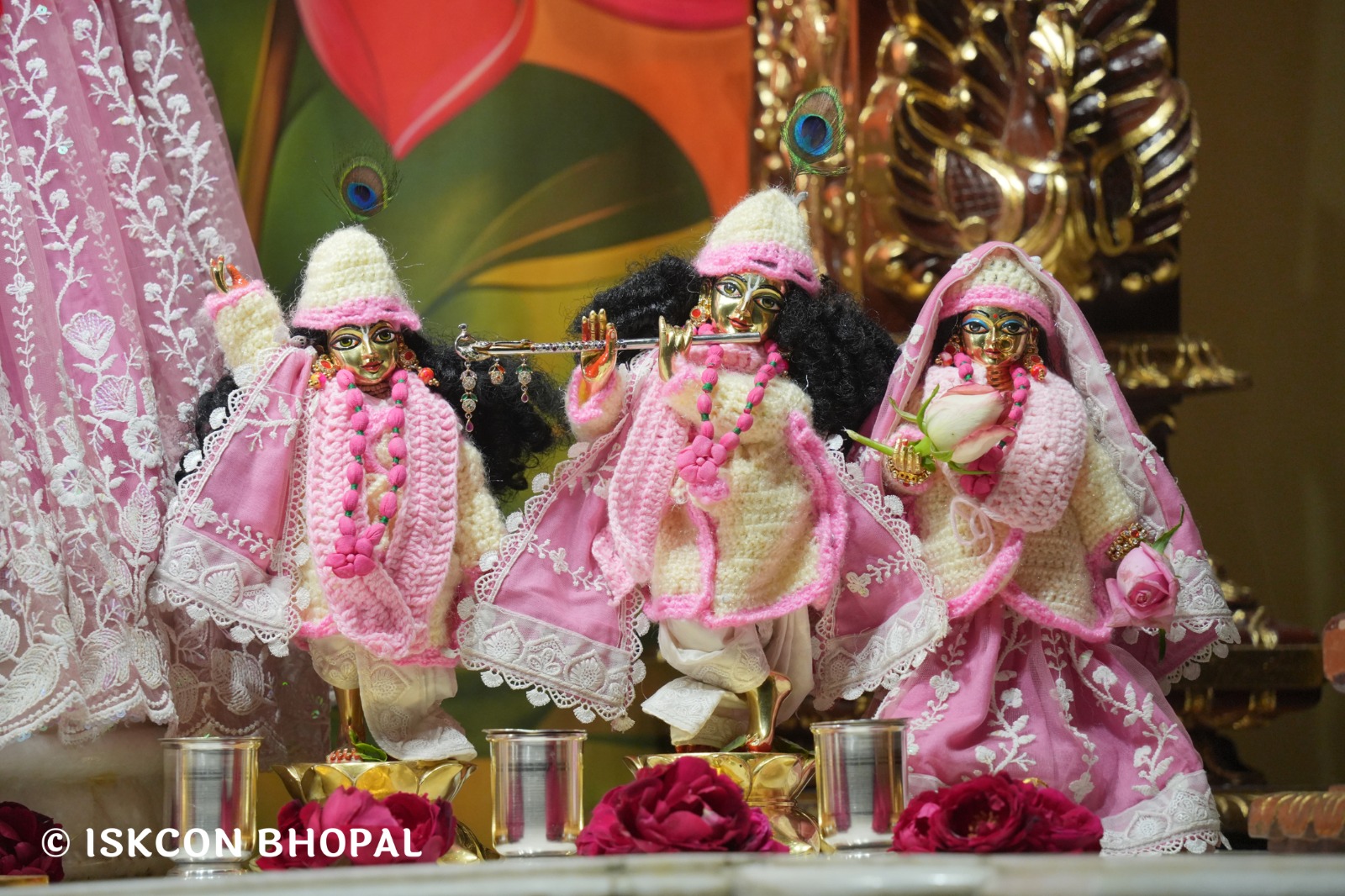 WhatsApp Image 2026-01-13 at 6.24.53 AM (4)