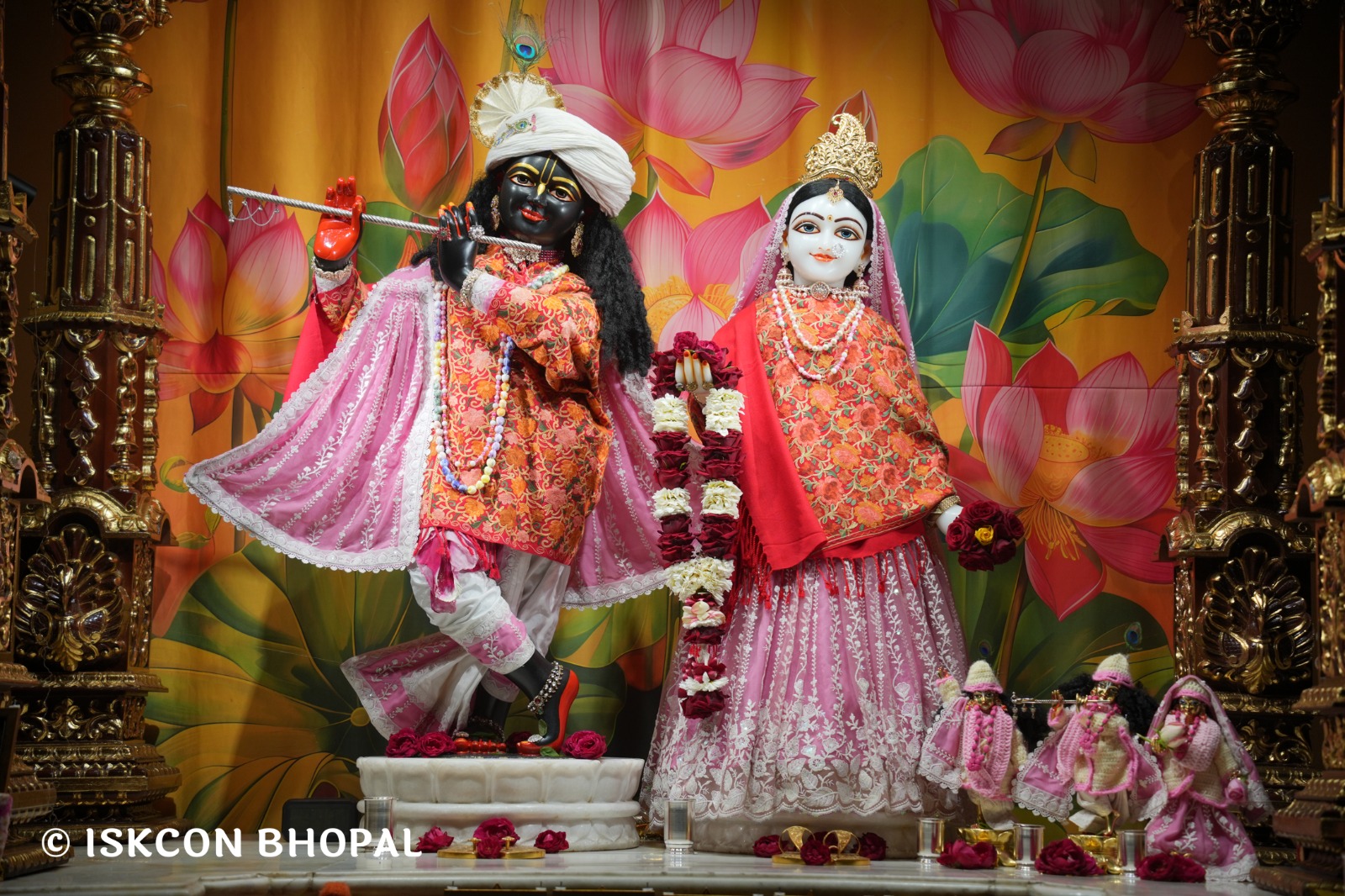 WhatsApp Image 2026-01-13 at 6.24.54 AM (1)