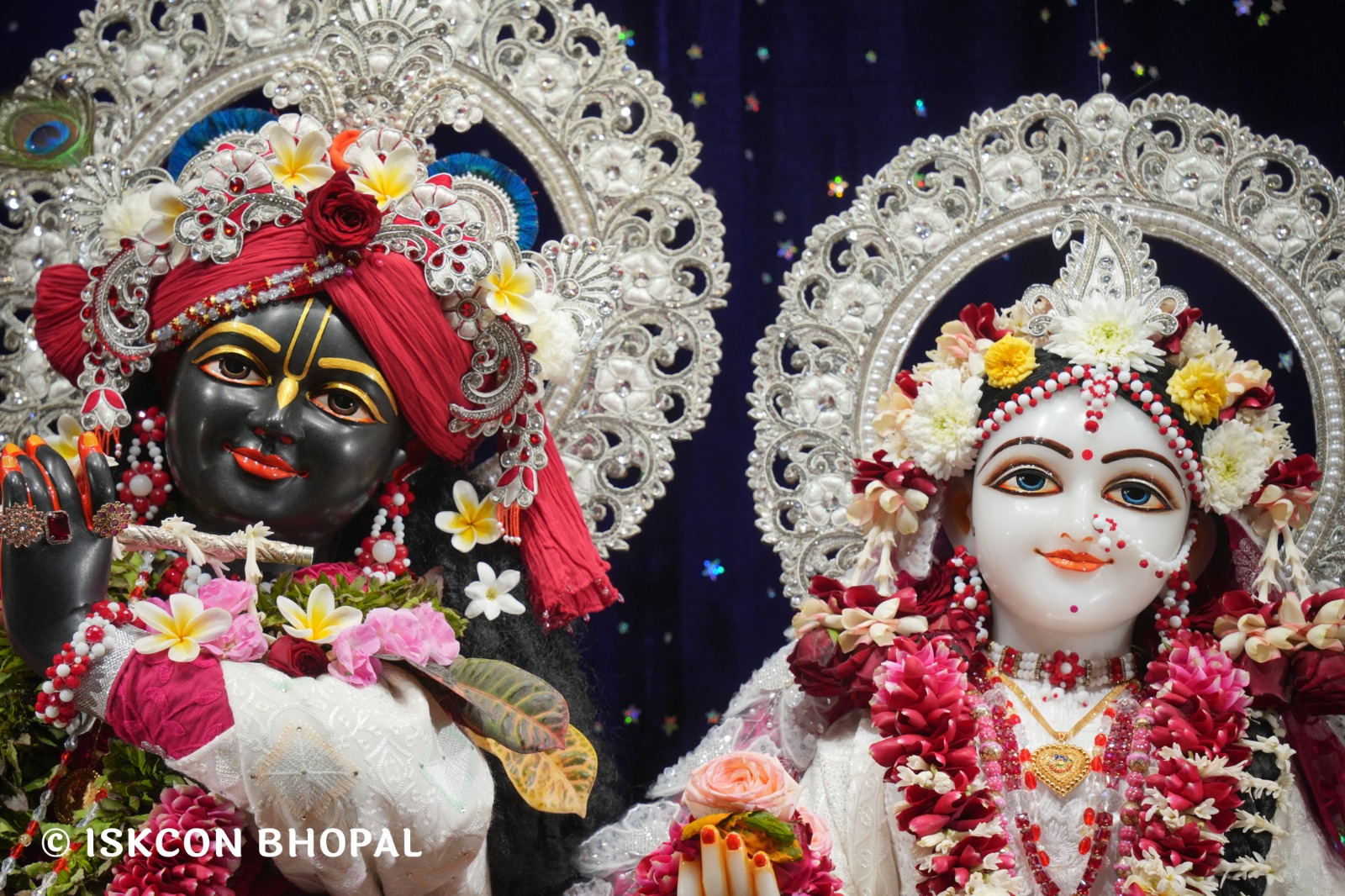 WhatsApp Image 2026-01-14 at 11.14.30 AM (2)