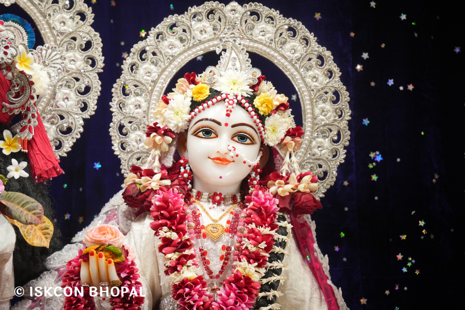 WhatsApp Image 2026-01-14 at 11.14.30 AM (3)