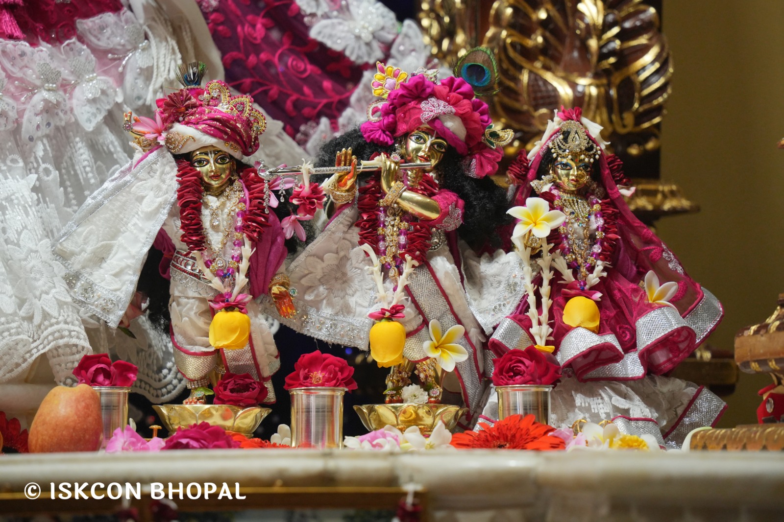 WhatsApp Image 2026-01-14 at 11.14.30 AM