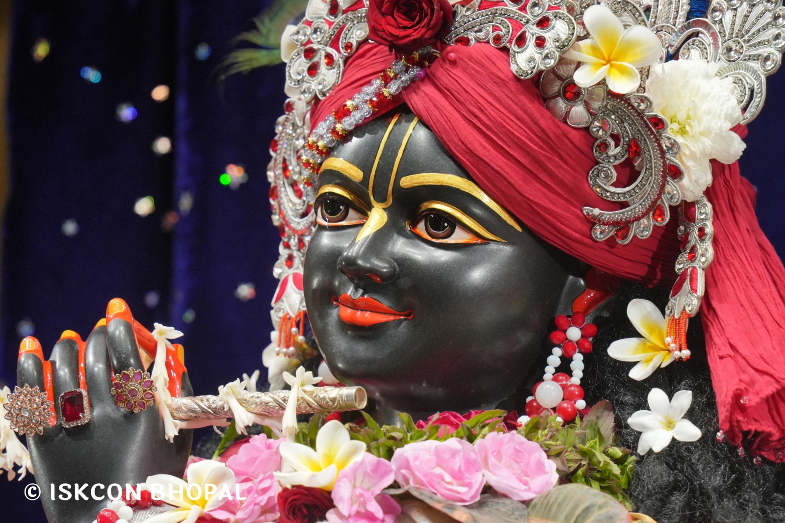 WhatsApp Image 2026-01-14 at 11.14.31 AM (2)