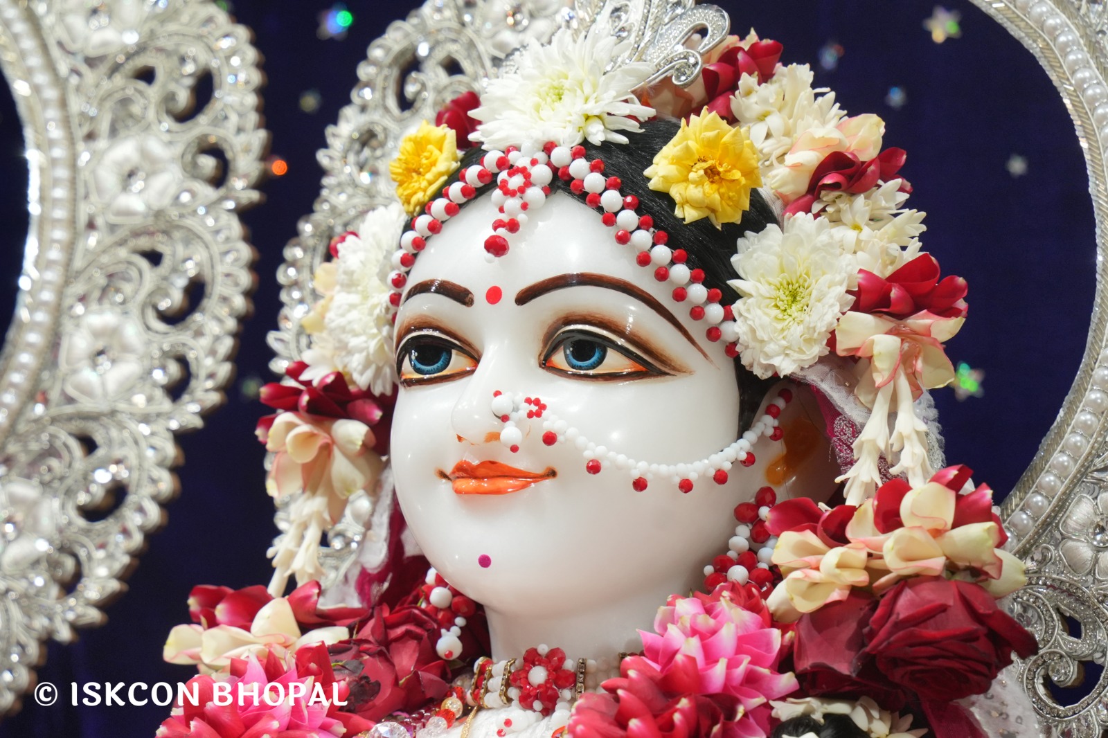 WhatsApp Image 2026-01-14 at 11.14.31 AM (3)