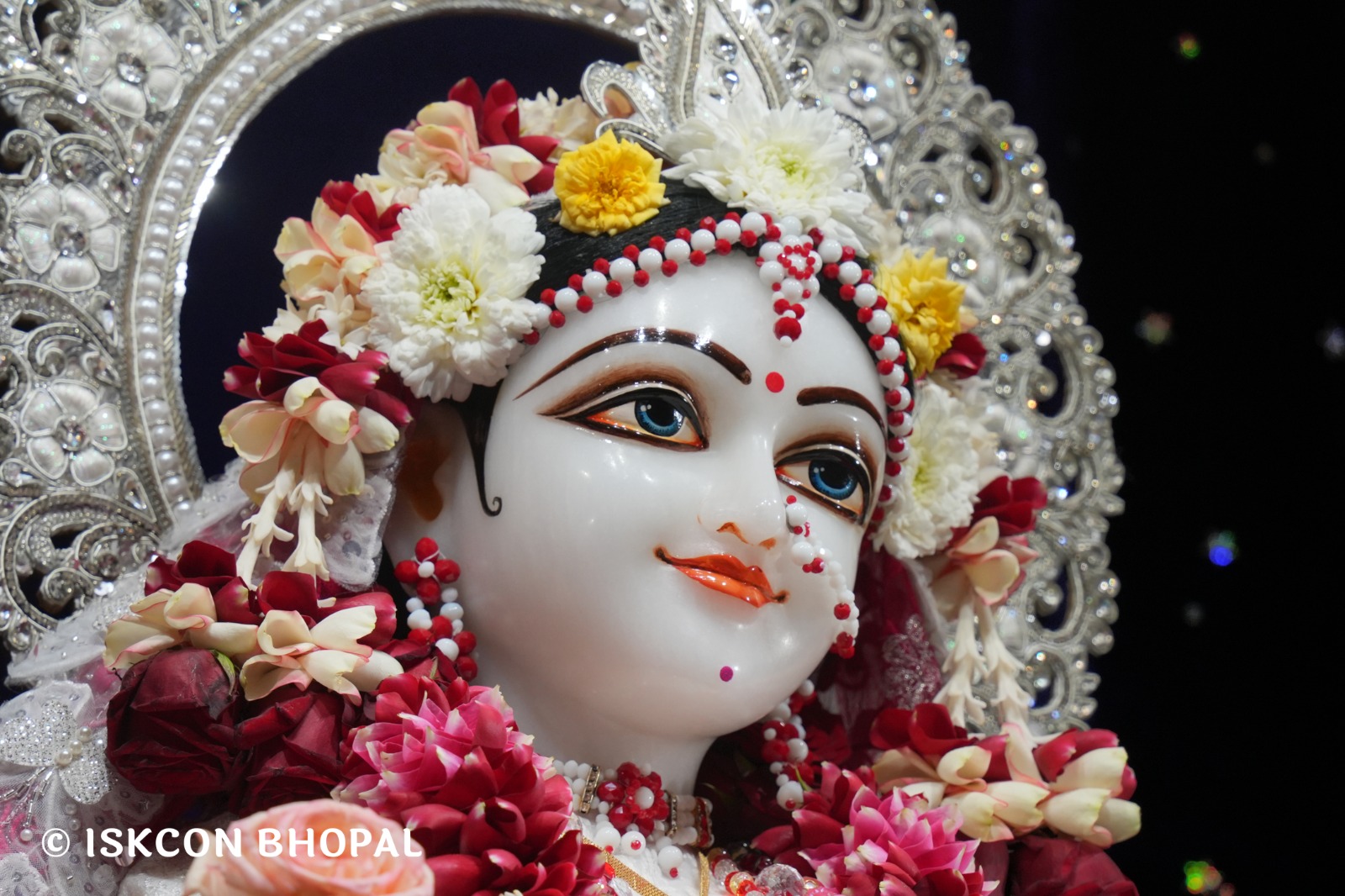 WhatsApp Image 2026-01-14 at 11.14.31 AM (5)