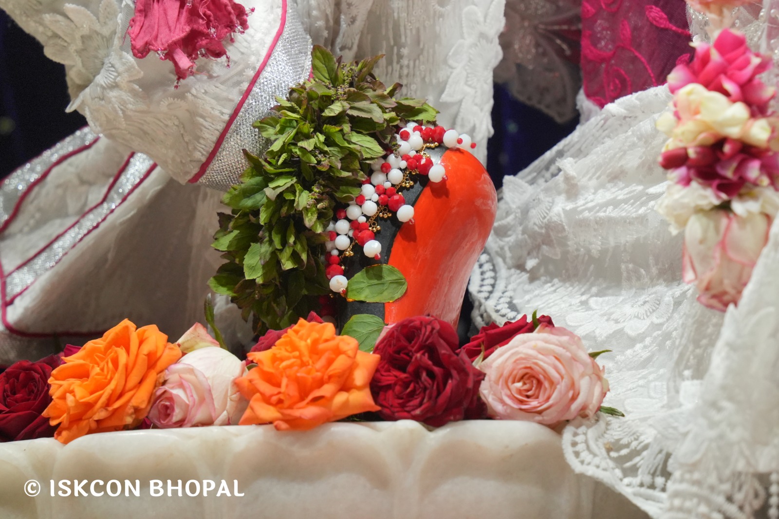 WhatsApp Image 2026-01-14 at 11.14.31 AM