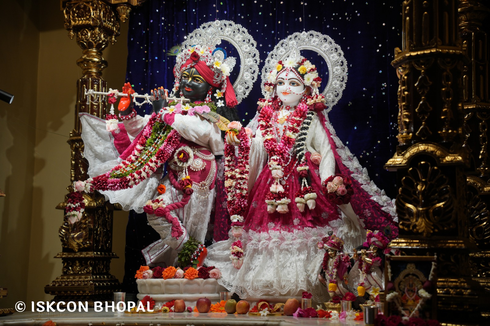 WhatsApp Image 2026-01-14 at 11.14.32 AM (1)