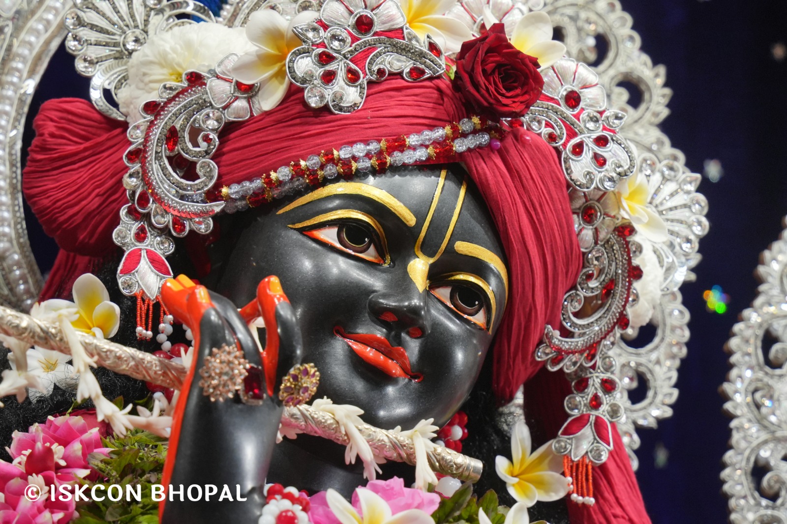 WhatsApp Image 2026-01-14 at 11.14.32 AM