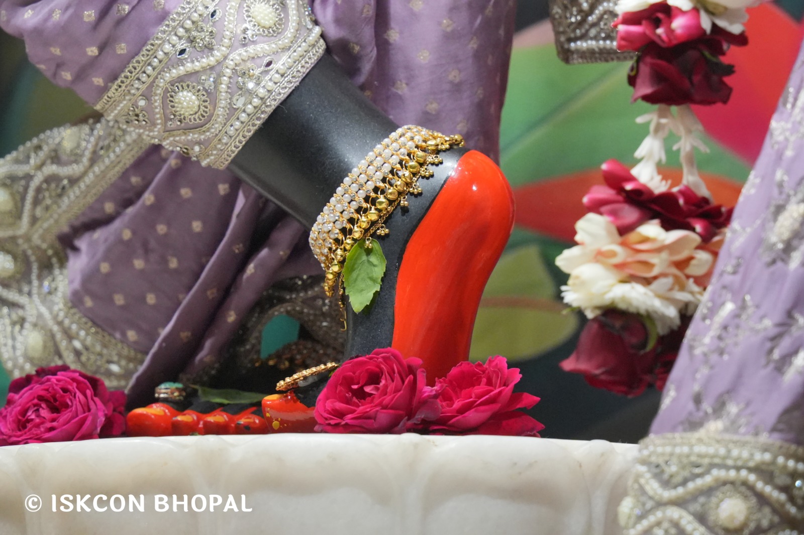 WhatsApp Image 2026-01-14 at 6.06.38 AM