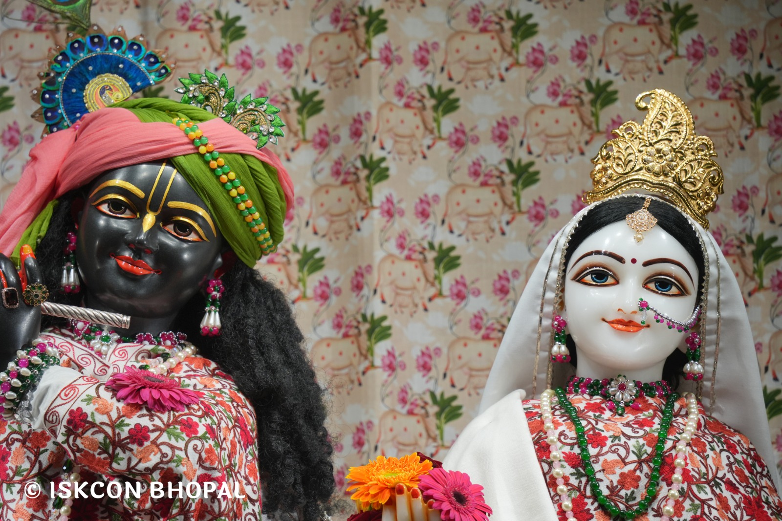 WhatsApp Image 2026-01-16 at 7.12.35 AM (2)