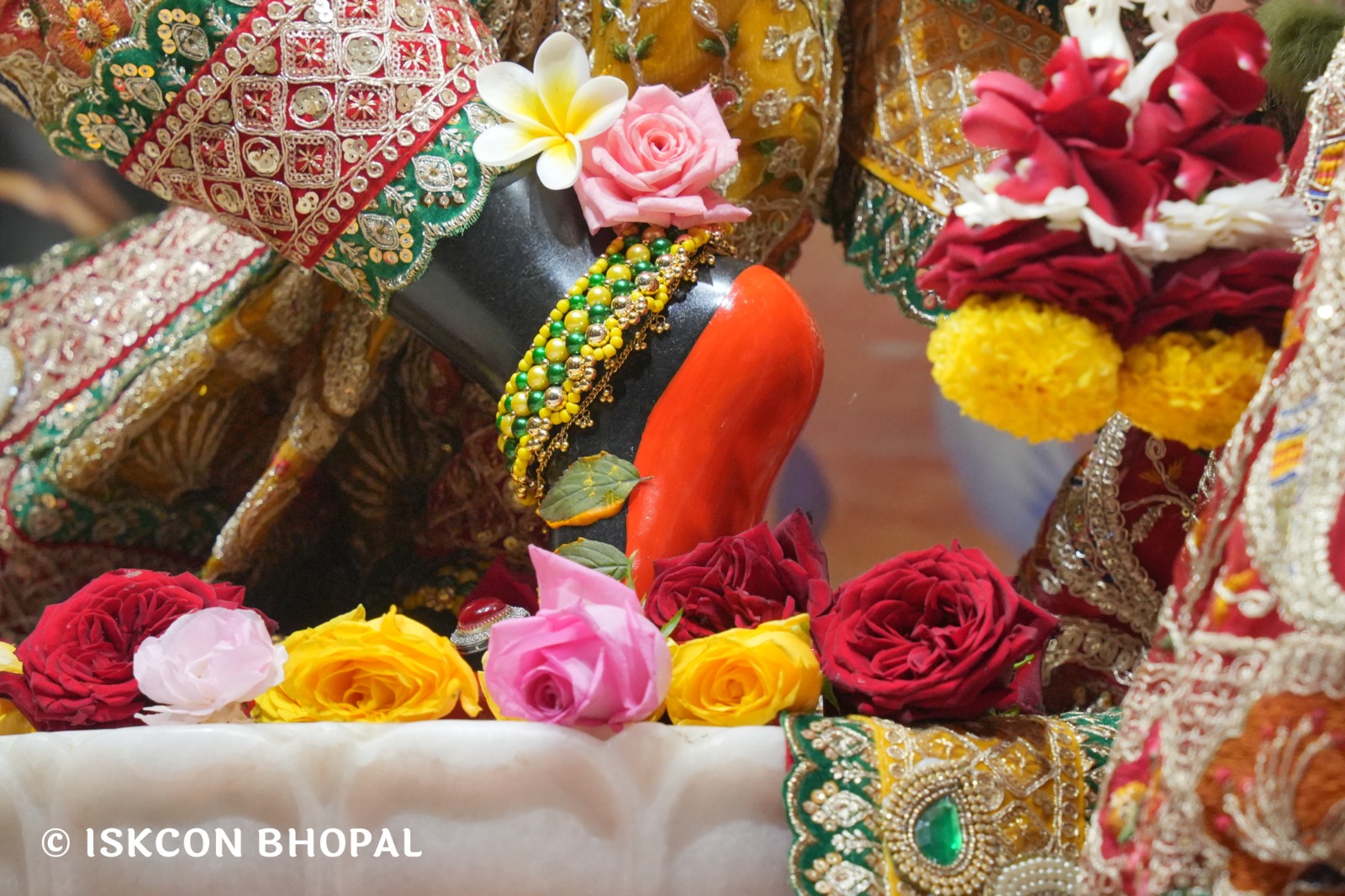 WhatsApp Image 2026-01-16 at 7.41.49 AM (2)