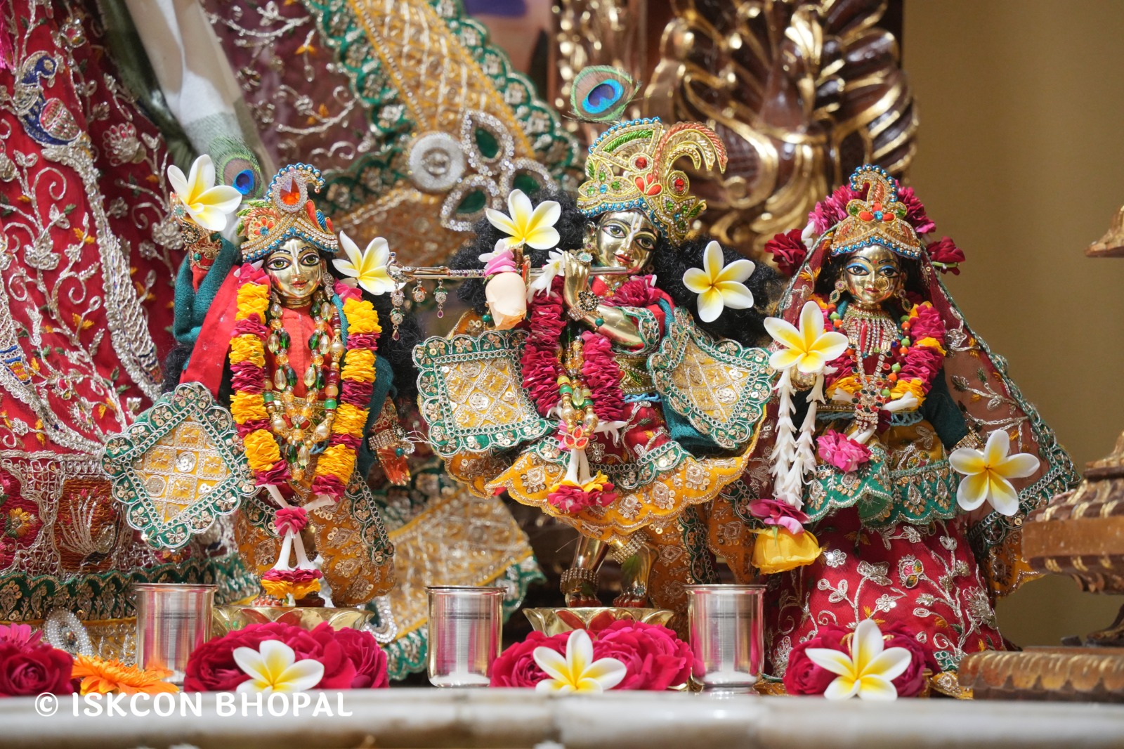 WhatsApp Image 2026-01-16 at 7.41.49 AM (3)