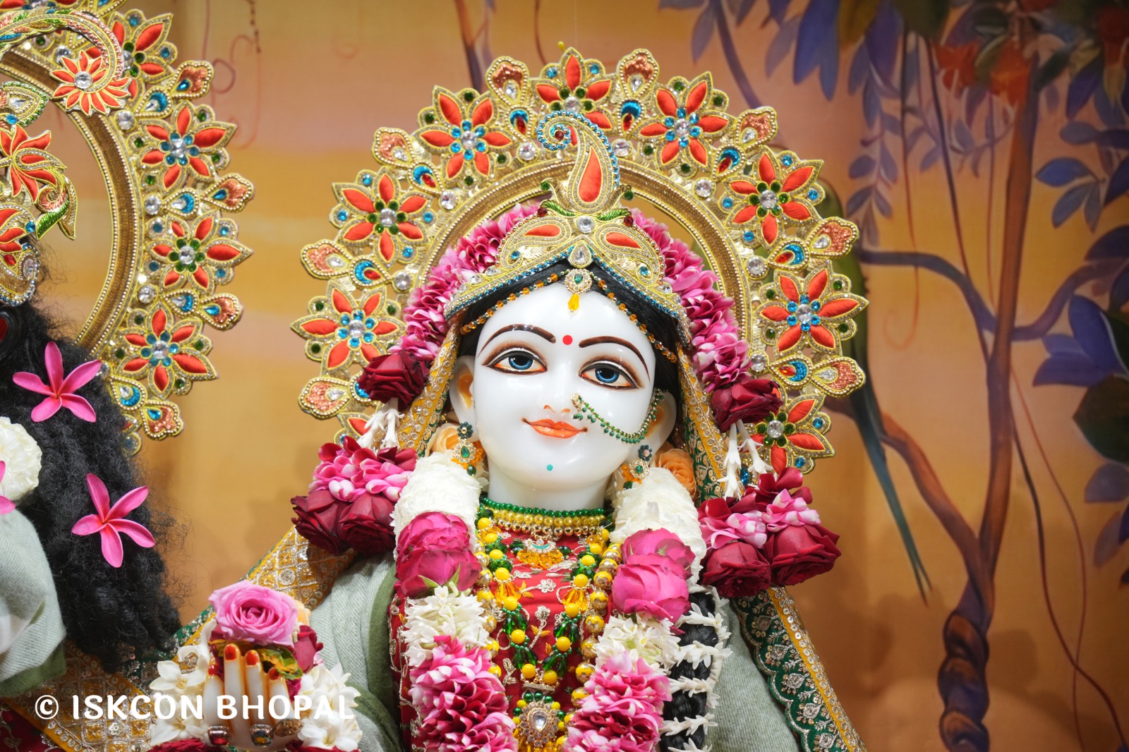 WhatsApp Image 2026-01-16 at 7.41.50 AM (1)