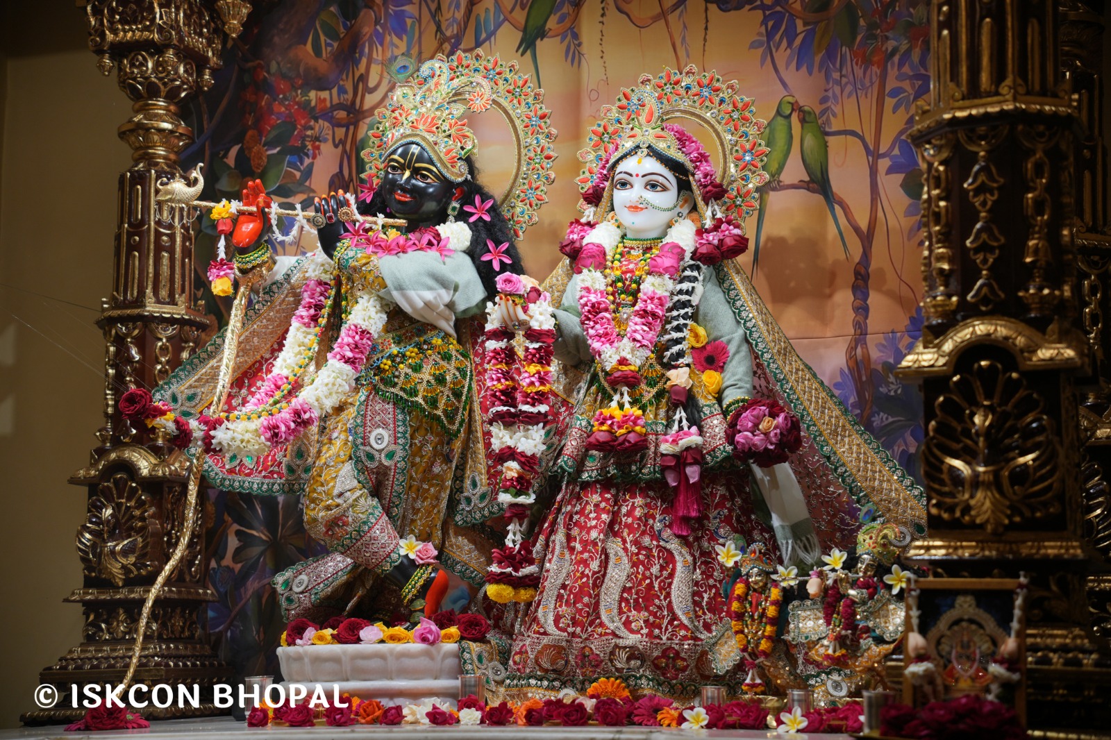 WhatsApp Image 2026-01-16 at 7.41.50 AM (3)