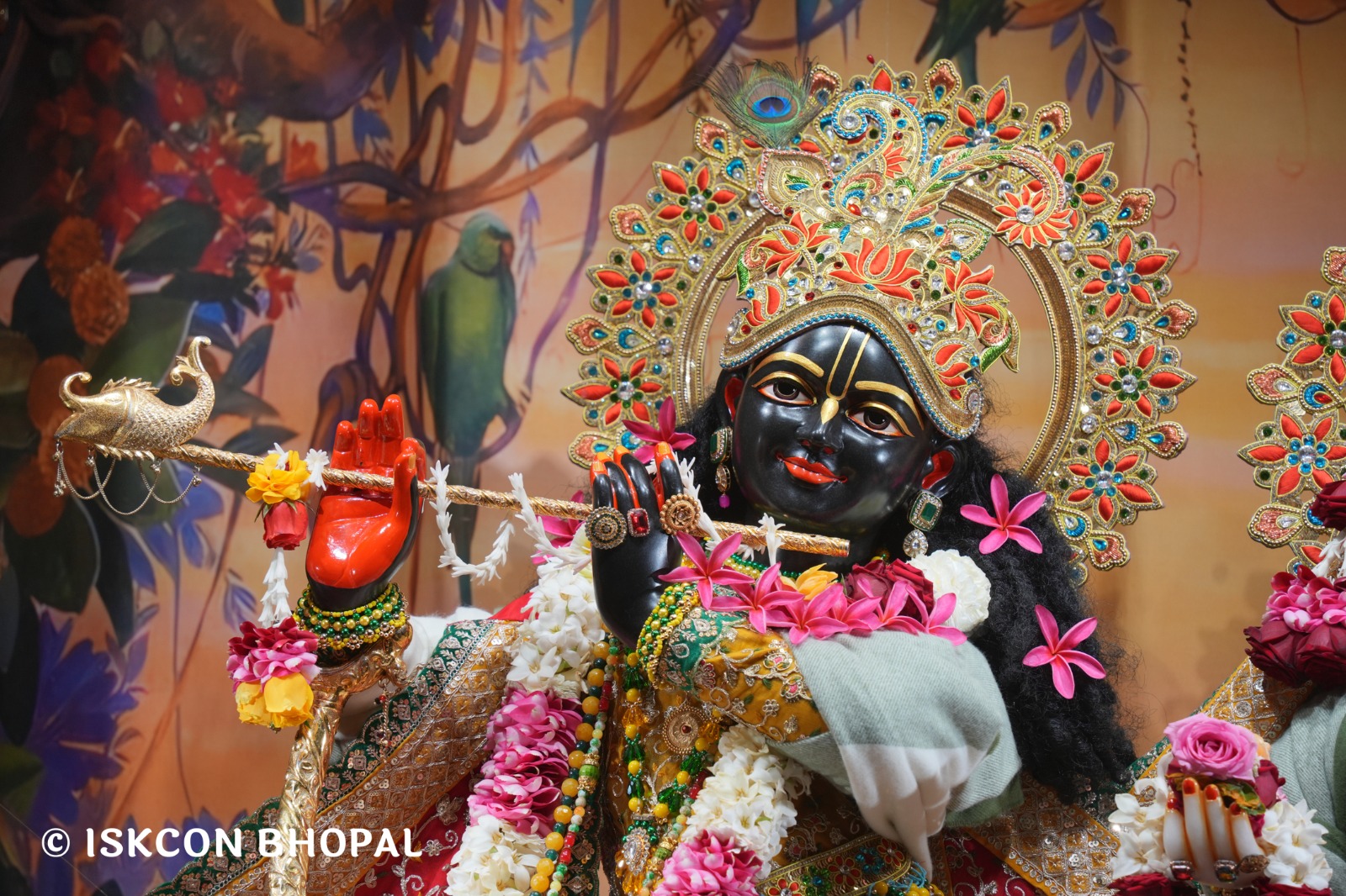 WhatsApp Image 2026-01-16 at 7.41.50 AM