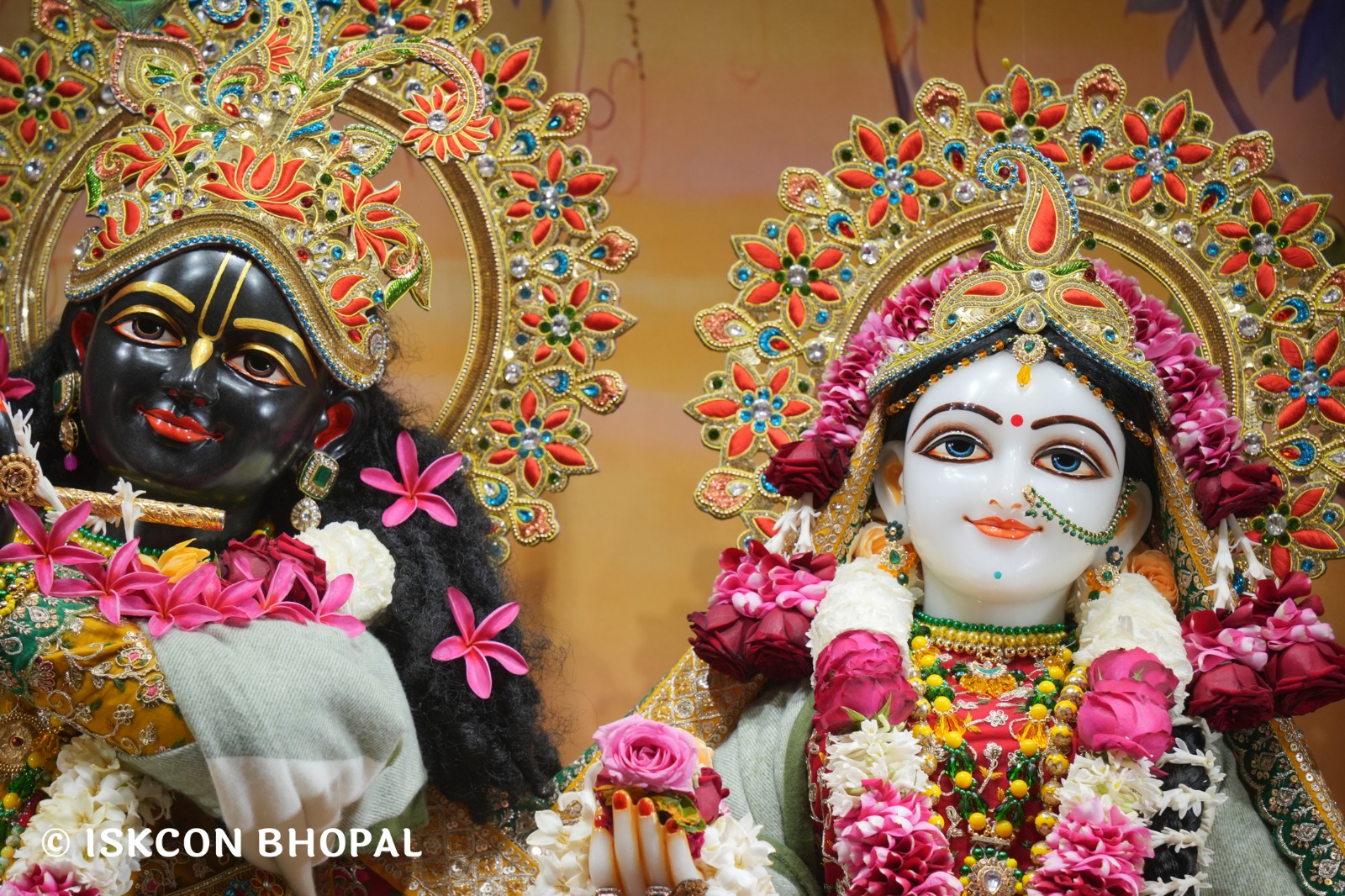 WhatsApp Image 2026-01-16 at 7.41.51 AM (2)