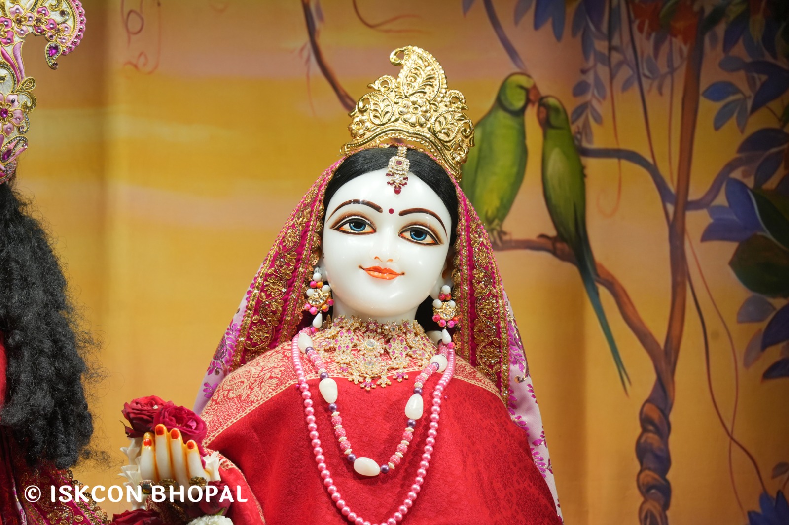 WhatsApp Image 2026-01-17 at 7.10.23 AM