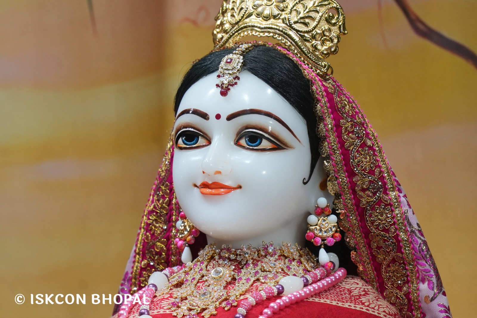 WhatsApp Image 2026-01-17 at 7.10.24 AM (3)