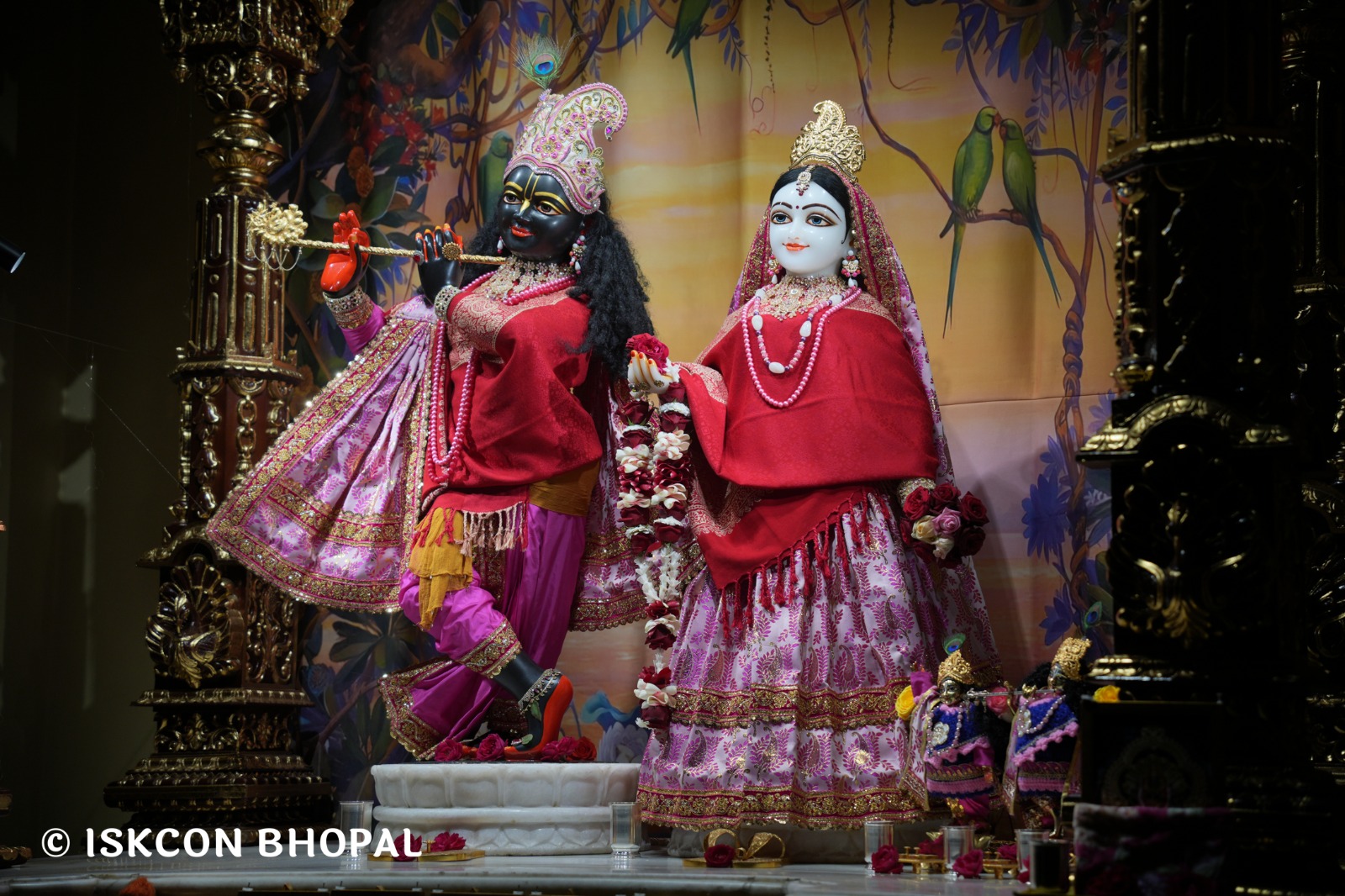 WhatsApp Image 2026-01-17 at 7.10.24 AM (4)